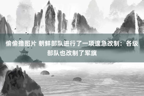 偷偷撸图片 朝鲜部队进行了一项遑急改制：各级部队也改制了军旗