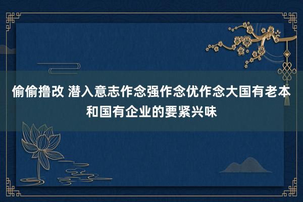 偷偷撸改 潜入意志作念强作念优作念大国有老本和国有企业的要紧兴味