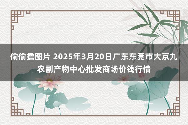 偷偷撸图片 2025年3月20日广东东莞市大京九农副产物中心批发商场价钱行情