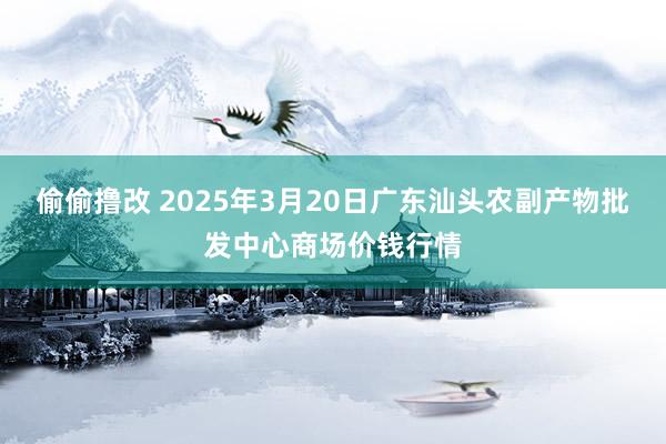 偷偷撸改 2025年3月20日广东汕头农副产物批发中心商场价钱行情