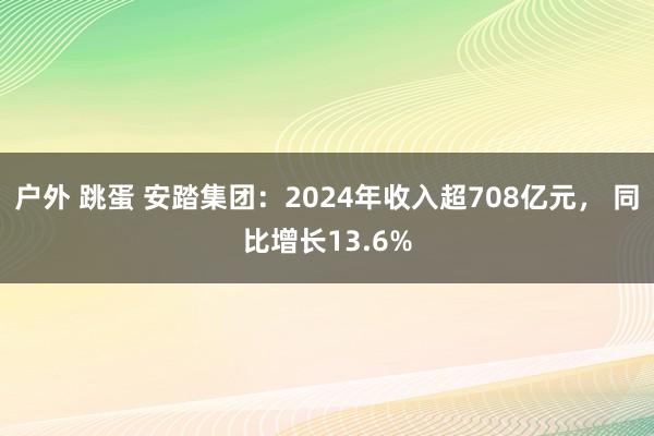 户外 跳蛋 安踏集团：2024年收入超708亿元， 同比增长13.6%