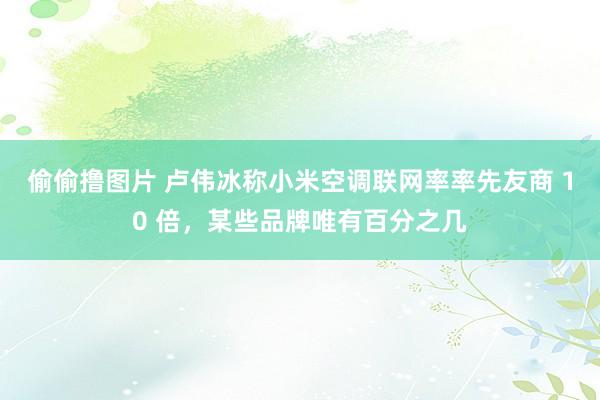 偷偷撸图片 卢伟冰称小米空调联网率率先友商 10 倍，某些品牌唯有百分之几