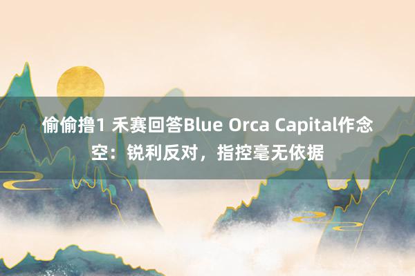 偷偷撸1 禾赛回答Blue Orca Capital作念空：锐利反对，指控毫无依据