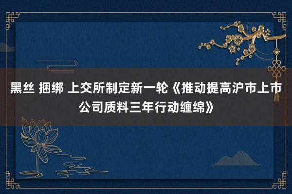 黑丝 捆绑 上交所制定新一轮《推动提高沪市上市公司质料三年行动缠绵》