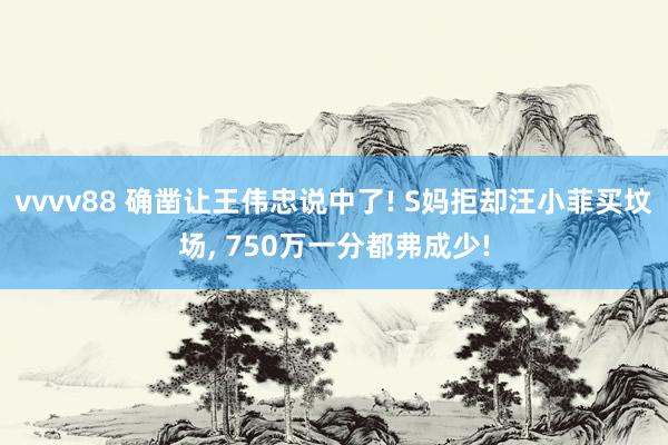 vvvv88 确凿让王伟忠说中了! S妈拒却汪小菲买坟场, 750万一分都弗成少!