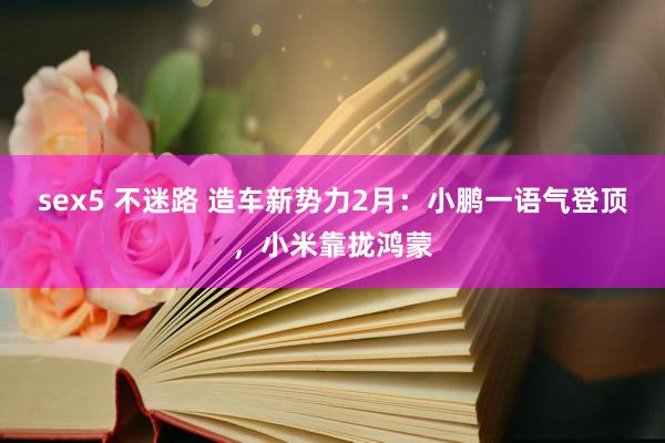 sex5 不迷路 造车新势力2月：小鹏一语气登顶，小米靠拢鸿蒙