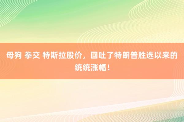 母狗 拳交 特斯拉股价，回吐了特朗普胜选以来的统统涨幅！