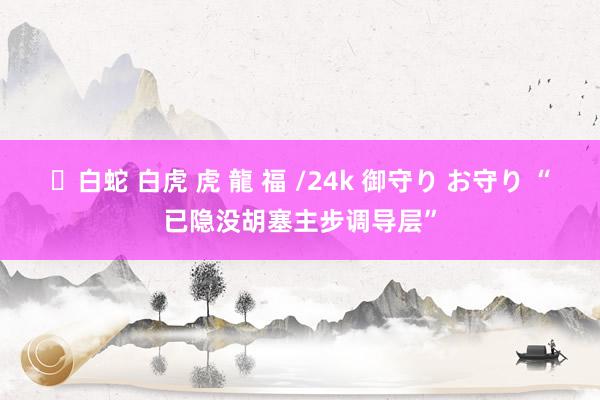 ✨白蛇 白虎 虎 龍 福 /24k 御守り お守り “已隐没胡塞主步调导层”