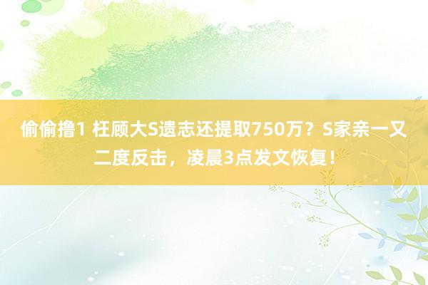 偷偷撸1 枉顾大S遗志还提取750万？S家亲一又二度反击，凌晨3点发文恢复！