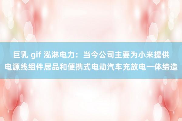 巨乳 gif 泓淋电力：当今公司主要为小米提供电源线组件居品和便携式电动汽车充放电一体缔造
