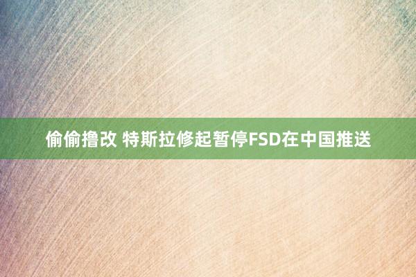 偷偷撸改 特斯拉修起暂停FSD在中国推送