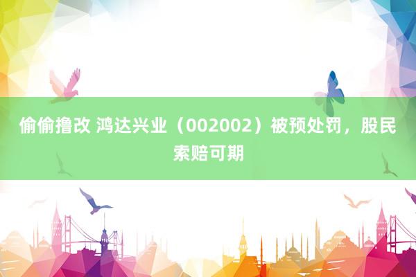 偷偷撸改 鸿达兴业（002002）被预处罚，股民索赔可期