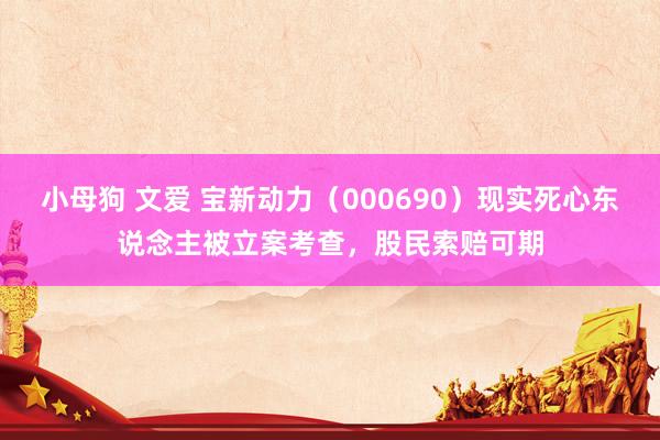 小母狗 文爱 宝新动力（000690）现实死心东说念主被立案考查，股民索赔可期