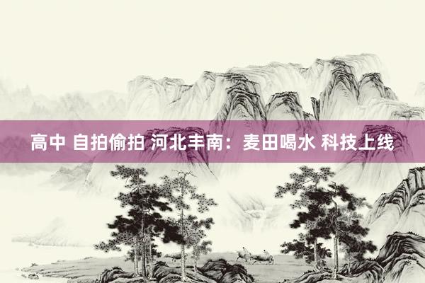 高中 自拍偷拍 河北丰南：麦田喝水 科技上线
