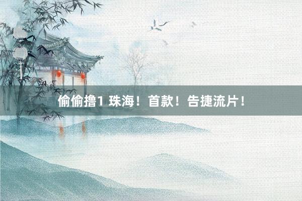 偷偷撸1 珠海！首款！告捷流片！