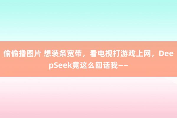 偷偷撸图片 想装条宽带，看电视打游戏上网，DeepSeek竟这么回话我——
