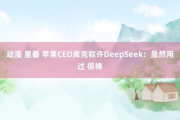 动漫 里番 苹果CEO库克称许DeepSeek：虽然用过 很棒