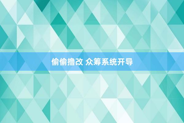 偷偷撸改 众筹系统开导