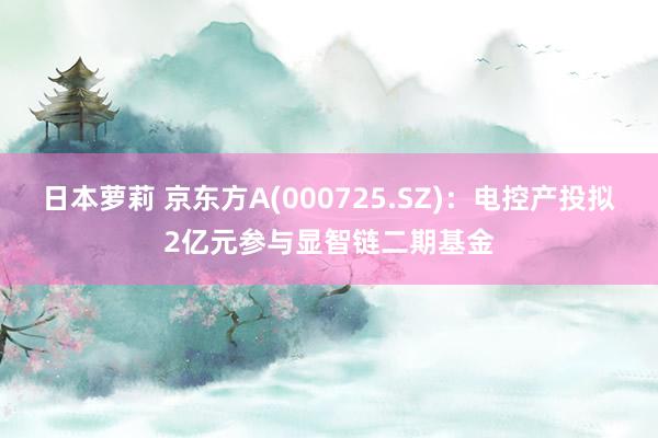 日本萝莉 京东方A(000725.SZ)：电控产投拟2亿元参与显智链二期基金
