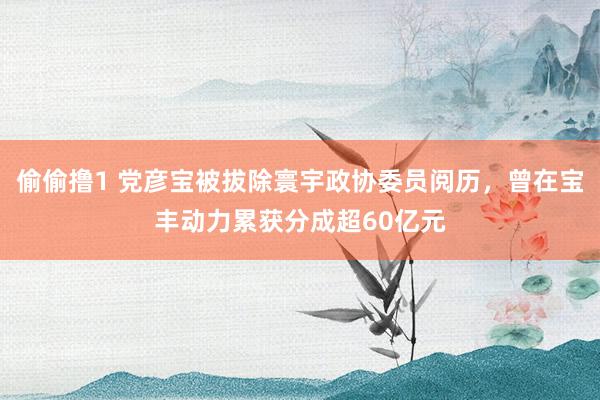 偷偷撸1 党彦宝被拔除寰宇政协委员阅历，曾在宝丰动力累获分成超60亿元
