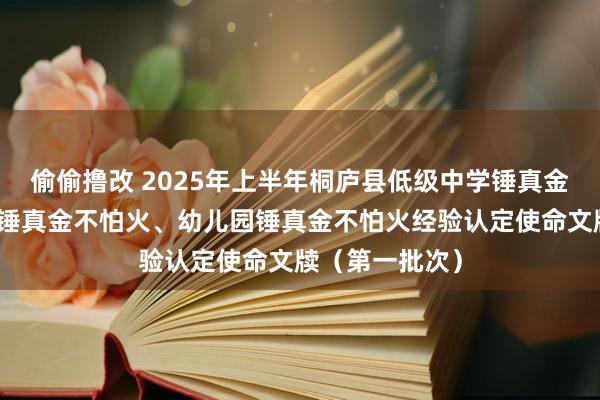 偷偷撸改 2025年上半年桐庐县低级中学锤真金不怕火、小学锤真金不怕火、幼儿园锤真金不怕火经验认定使命文牍（第一批次）