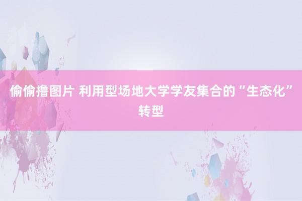 偷偷撸图片 利用型场地大学学友集合的“生态化”转型