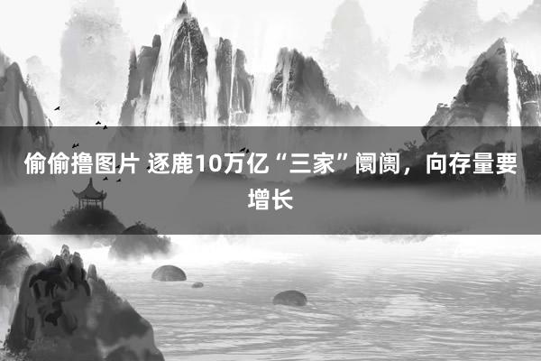 偷偷撸图片 逐鹿10万亿“三家”阛阓，向存量要增长
