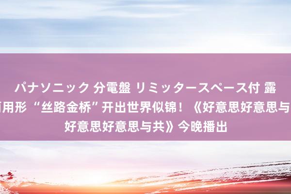 パナソニック 分電盤 リミッタースペース付 露出・半埋込両用形 “丝路金桥”开出世界似锦！《好意思好意思与共》今晚播出