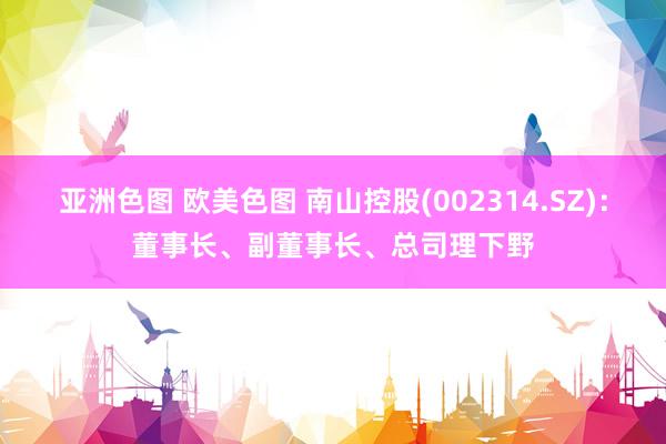 亚洲色图 欧美色图 南山控股(002314.SZ)：董事长、副董事长、总司理下野