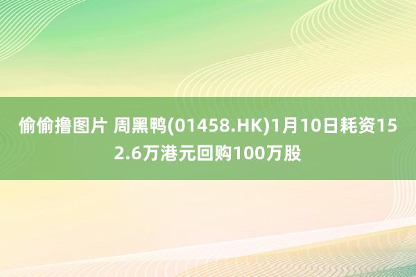 偷偷撸图片 周黑鸭(01458.HK)1月10日耗资152.6万港元回购100万股