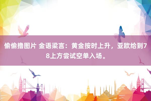 偷偷撸图片 金语梁言：黄金按时上升，亚欧给到78上方尝试空单入场。