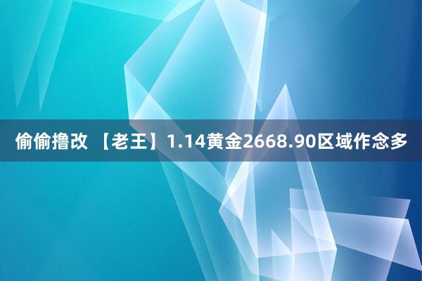 偷偷撸改 【老王】1.14黄金2668.90区域作念多