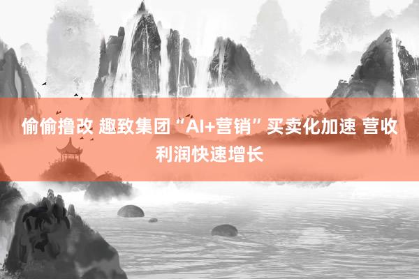 偷偷撸改 趣致集团“AI+营销”买卖化加速 营收利润快速增长