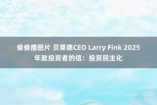 偷偷撸图片 贝莱德CEO Larry Fink 2025年致投资者的信：投资民主化