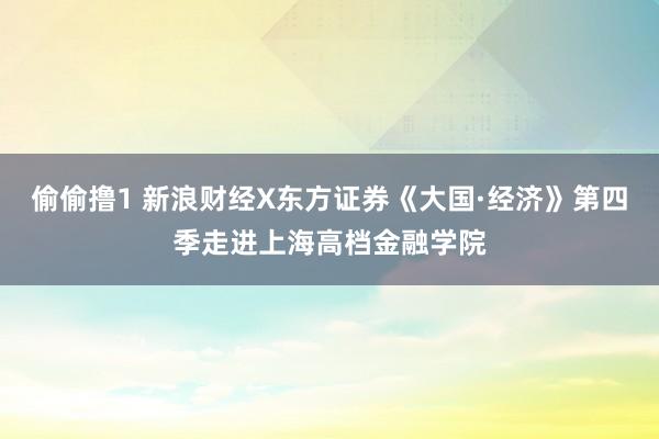 偷偷撸1 新浪财经X东方证券《大国·经济》第四季走进上海高档金融学院
