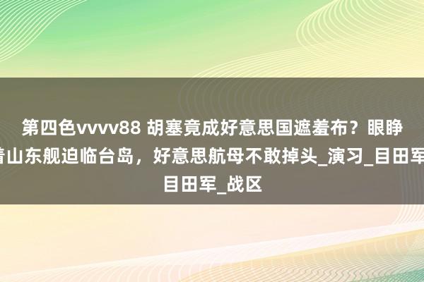 第四色vvvv88 胡塞竟成好意思国遮羞布？眼睁睁看着山东舰迫临台岛，好意思航母不敢掉头_演习_目田军_战区