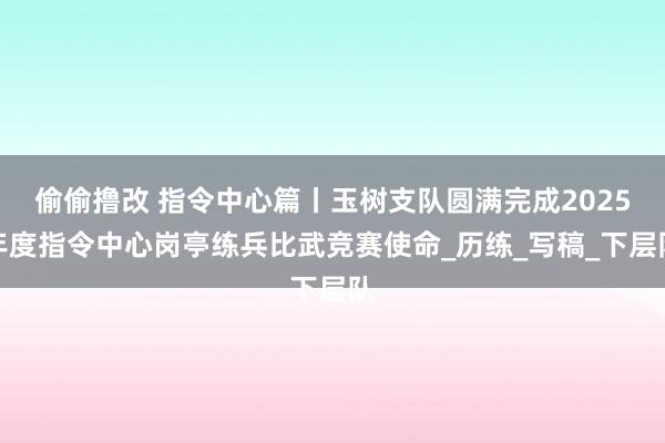 偷偷撸改 指令中心篇丨玉树支队圆满完成2025年度指令中心岗亭练兵比武竞赛使命_历练_写稿_下层队