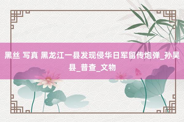 黑丝 写真 黑龙江一县发现侵华日军留传炮弹_孙吴县_普查_文物