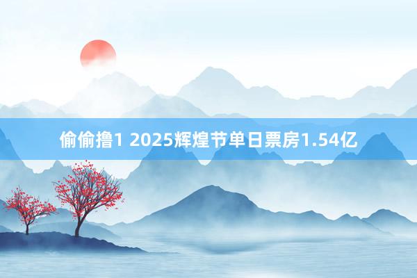 偷偷撸1 2025辉煌节单日票房1.54亿