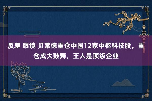 反差 眼镜 贝莱德重仓中国12家中枢科技股，重仓成大鼓舞，王人是顶级企业