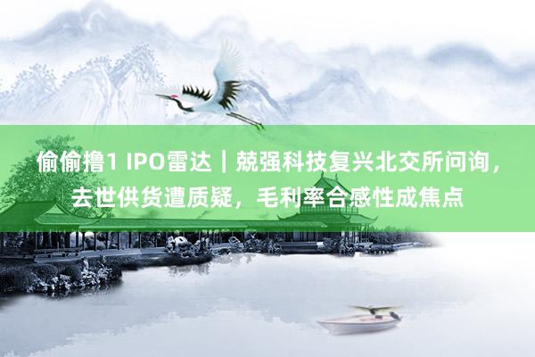 偷偷撸1 IPO雷达｜兢强科技复兴北交所问询，去世供货遭质疑，毛利率合感性成焦点