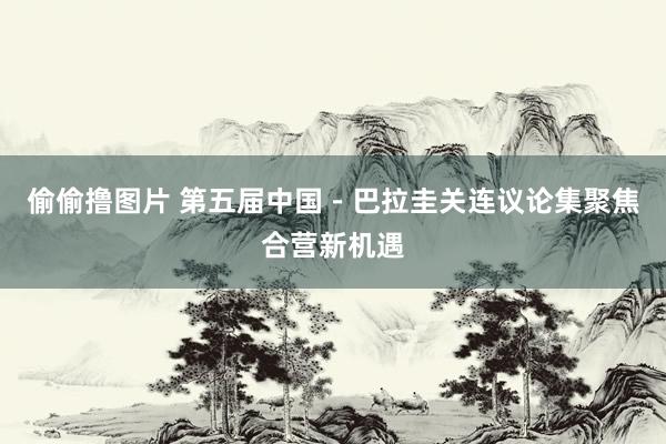 偷偷撸图片 第五届中国－巴拉圭关连议论集聚焦合营新机遇