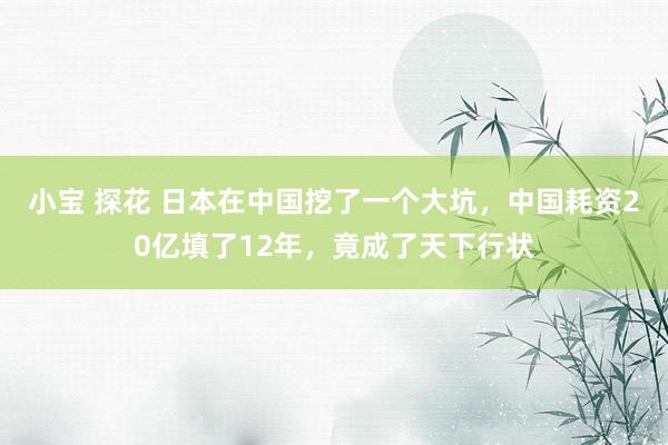 小宝 探花 日本在中国挖了一个大坑，中国耗资20亿填了12年，竟成了天下行状
