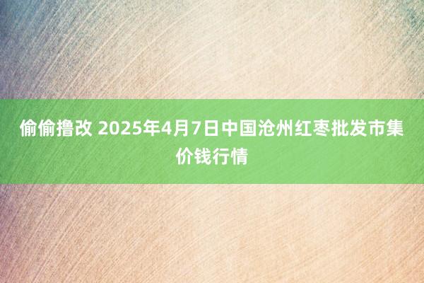 偷偷撸改 2025年4月7日中国沧州红枣批发市集价钱行情