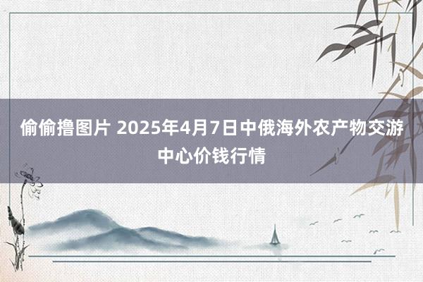 偷偷撸图片 2025年4月7日中俄海外农产物交游中心价钱行情