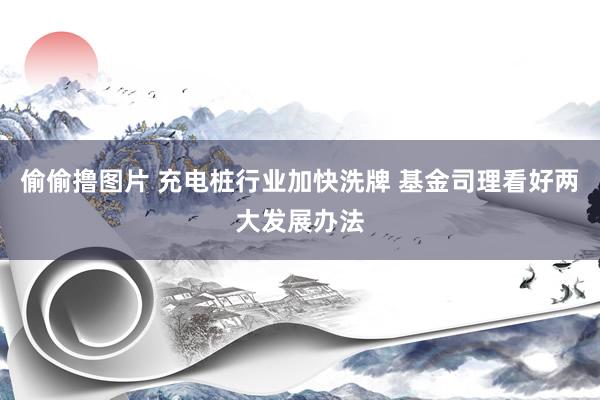 偷偷撸图片 充电桩行业加快洗牌 基金司理看好两大发展办法
