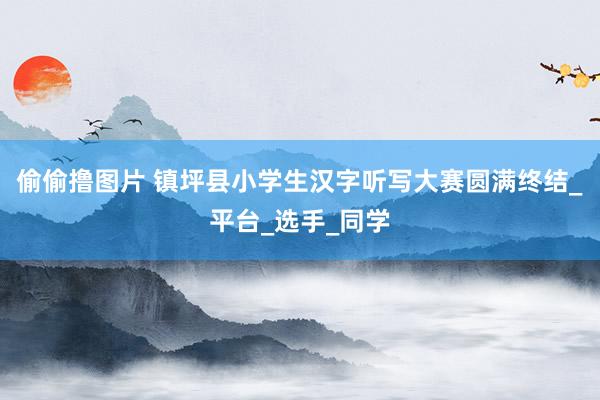偷偷撸图片 镇坪县小学生汉字听写大赛圆满终结_平台_选手_同学