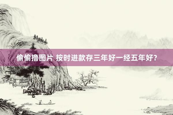 偷偷撸图片 按时进款存三年好一经五年好？