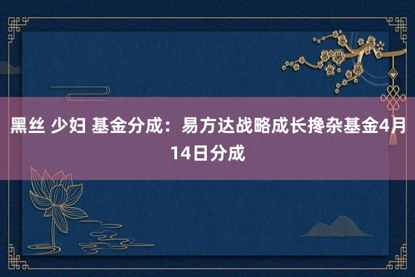黑丝 少妇 基金分成：易方达战略成长搀杂基金4月14日分成