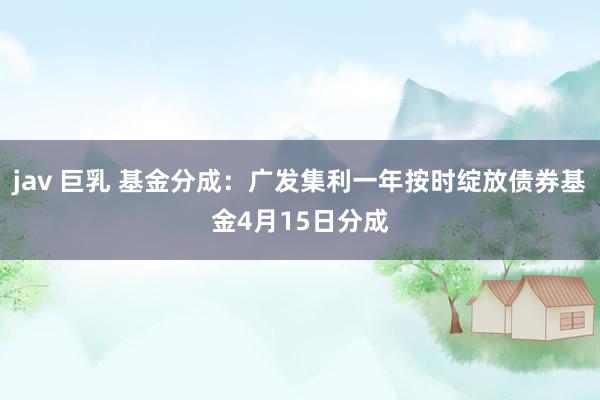 jav 巨乳 基金分成：广发集利一年按时绽放债券基金4月15日分成